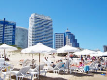 playa mansa de punta del este