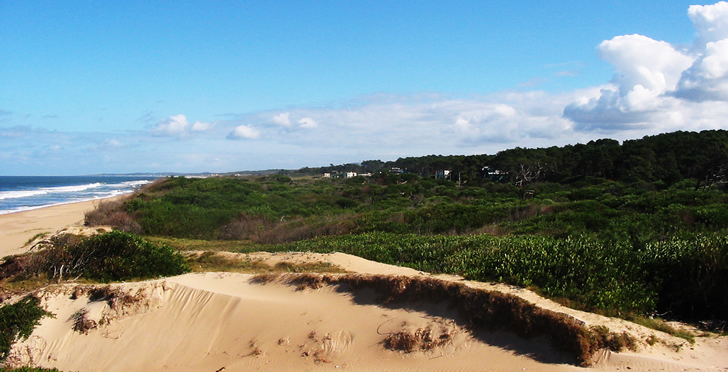 Ocean Park en Punta del Este